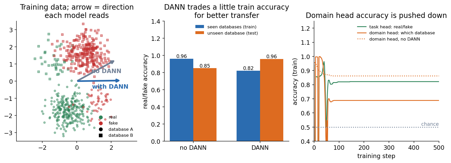 Toy DANN experiment: direction read by the model, accuracy on seen and unseen data, domain head accuracy over training