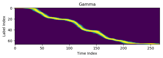 Gamma